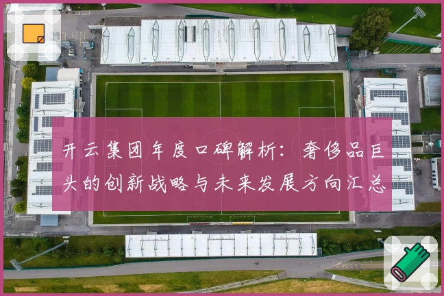 开云集团年度口碑解析:奢侈品巨头的创新战略与未来发展方向汇总